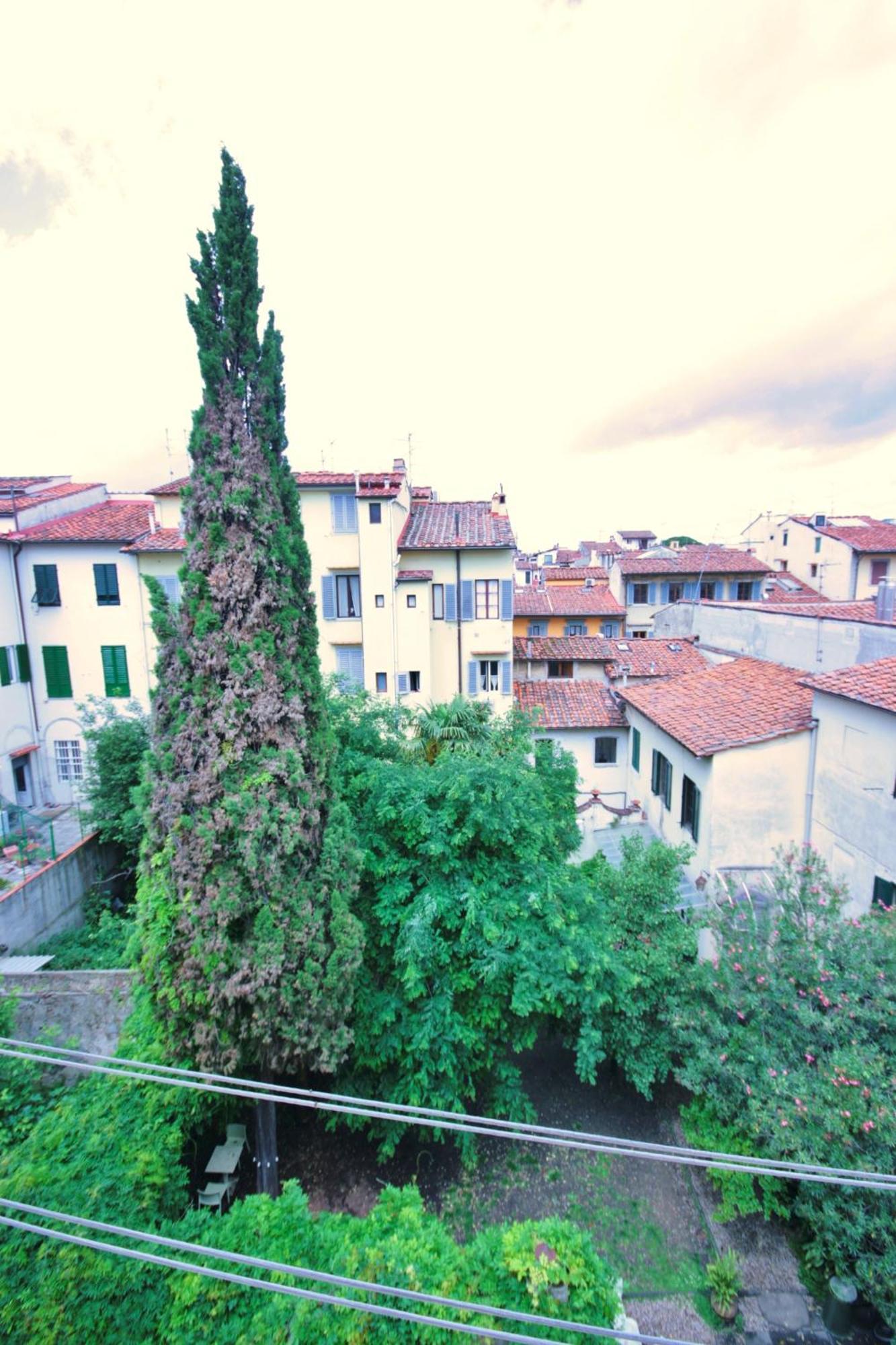 Typical In The Historic Centre Florencia